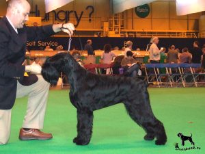 Crufts Winners Draxpark