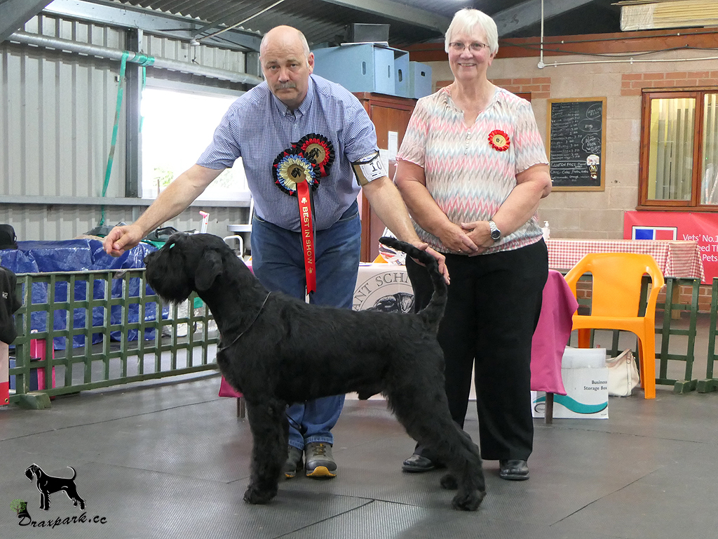 Best In Show – Rafa