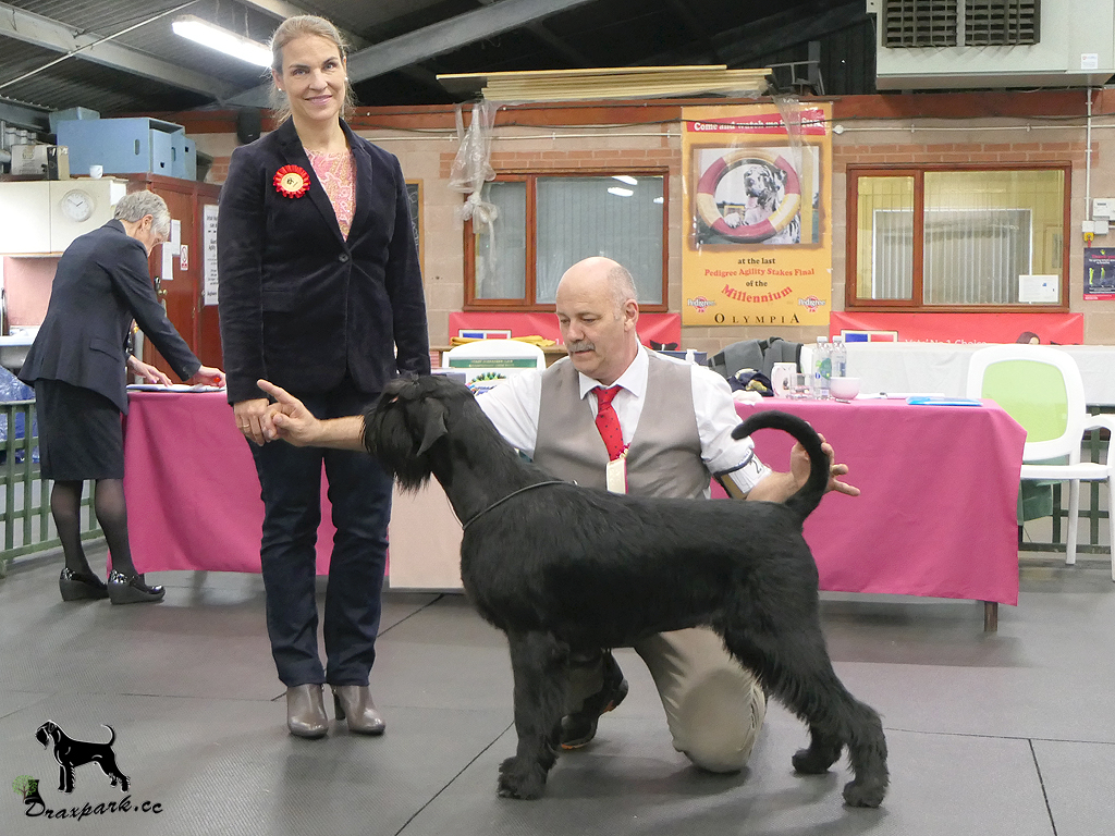 Reserve Best In Show GSC Ch Show Oct 23