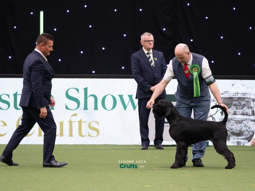 Reva BOB Crufts 2024