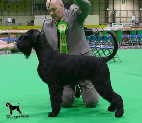 Zodiac Crufts 2019 RBCC