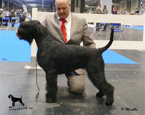 Zodiac LKA Best Puppy & Reserve Best Bitch