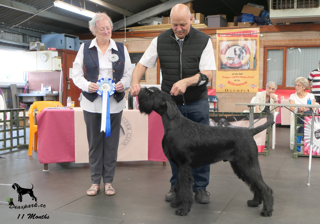 GSC Open Show BPIB RBD RBPIS July 2026